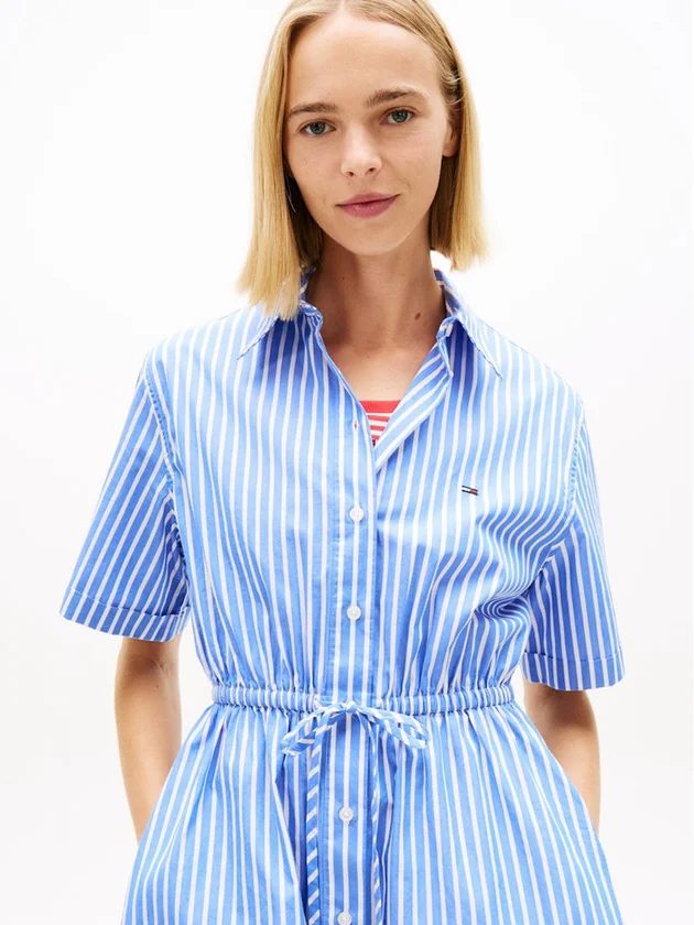 Mini Stripe Shirt Dress