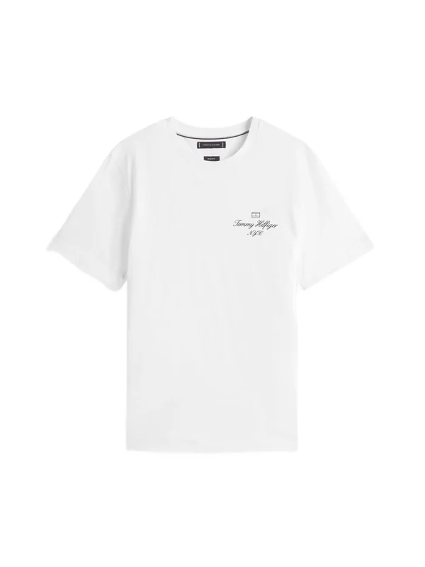 Outline Flag Script