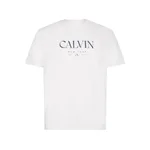 BRILLIANT WHITE
