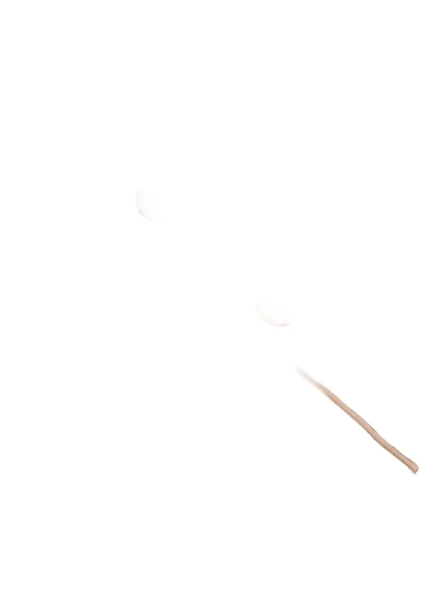 S S Polo