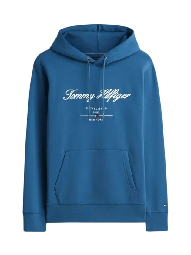 Script Logo Hoody