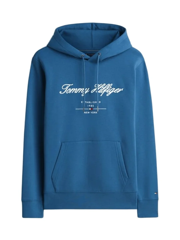 Script Logo Hoody