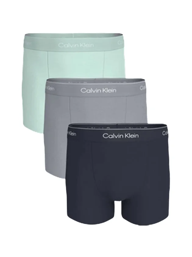 Relaxed Fit Trunk 3P