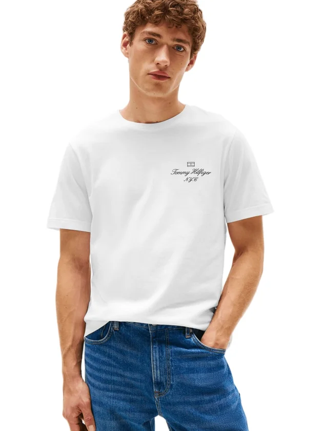 Outline Flag Script