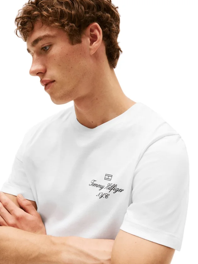 Outline Flag Script