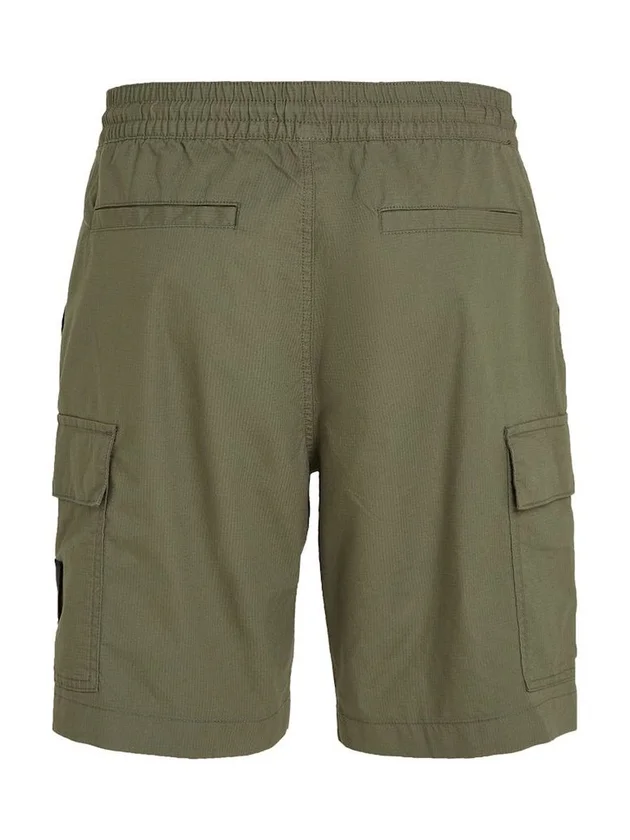 Washed Cargo Short